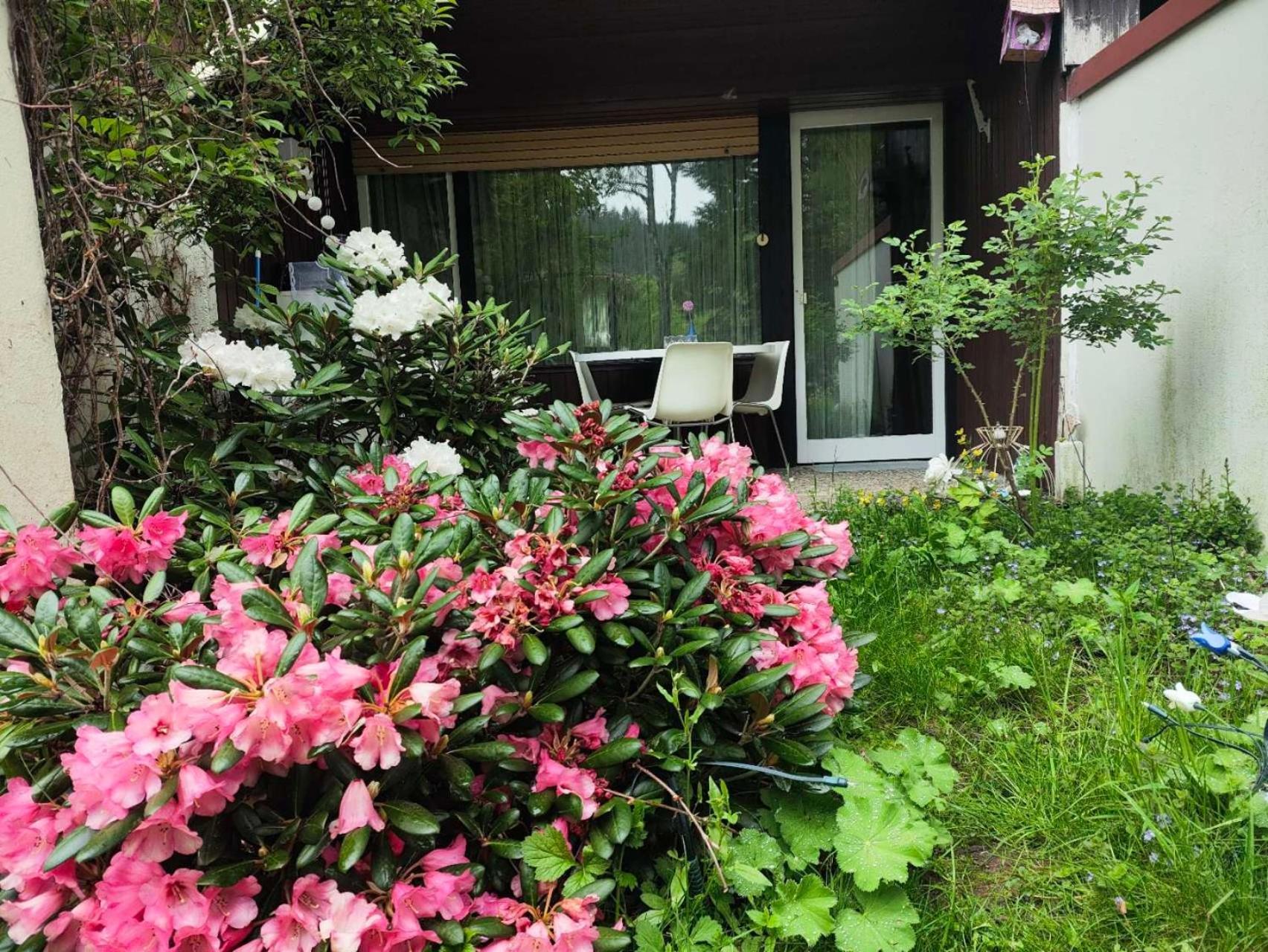 Ferienwohnung Schoene Wohnung 2D-Gebaeude Mit Mini-Garten Schoenwald im Schwarzwald Exterior photo